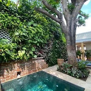  Hotel Casa Jaguar Boutique Colombia