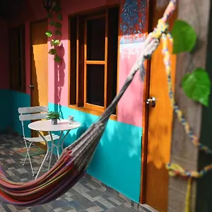  Casa de hóspedes New Casa Dora Colômbia